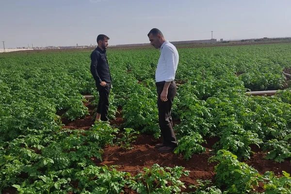 الفصول الأربعة للخدمات الزراعية والمسابح