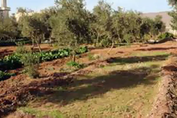 الفصول الأربعة للخدمات الزراعية والمسابح