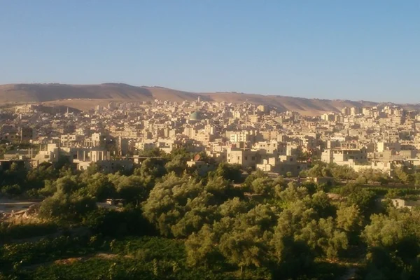مشتل المهدي