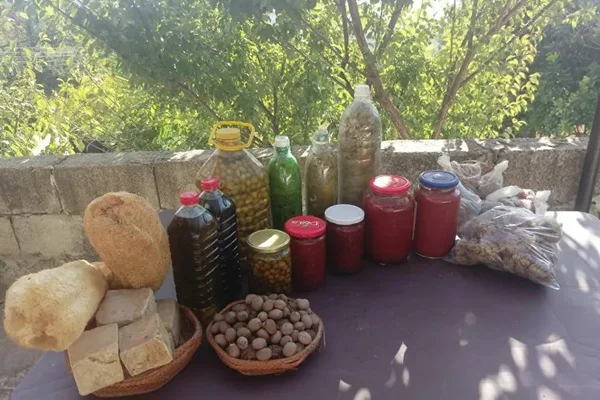 مغذيات الرشيد