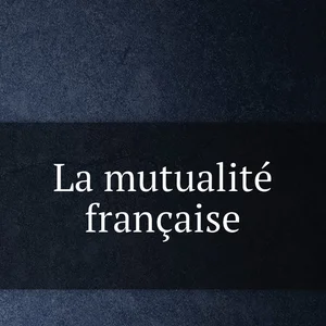 سنتر الميداني